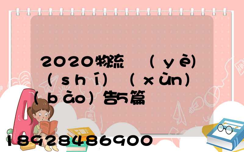 2020物流專業(yè)實(shí)訓(xùn)報(bào)告5篇