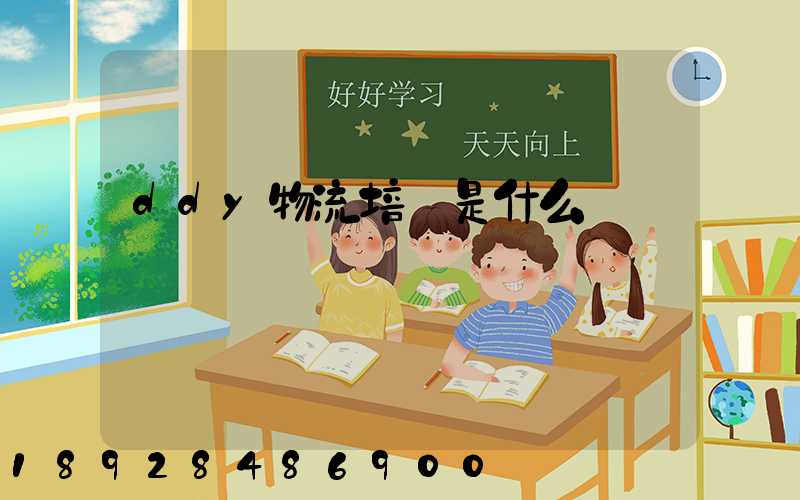 ddy物流培訓是什么