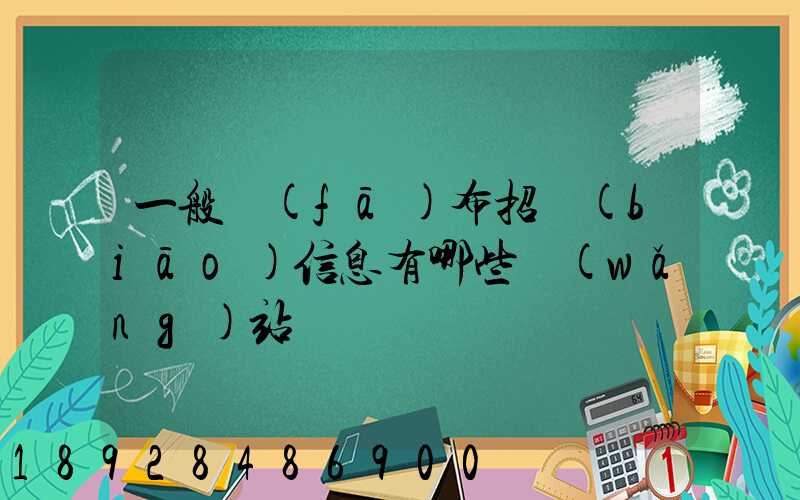 一般發(fā)布招標(biāo)信息有哪些網(wǎng)站