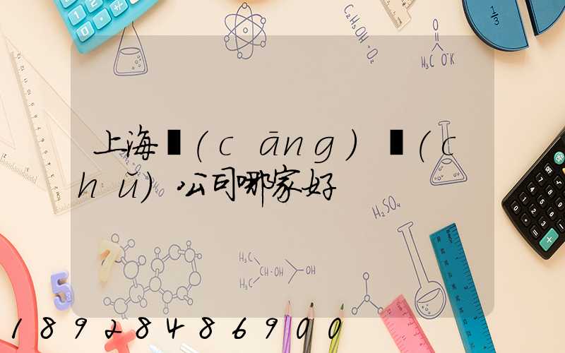 上海倉(cāng)儲(chǔ)公司哪家好