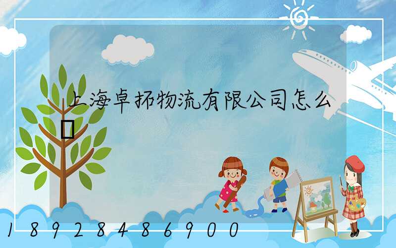 上海卓拓物流有限公司怎么樣