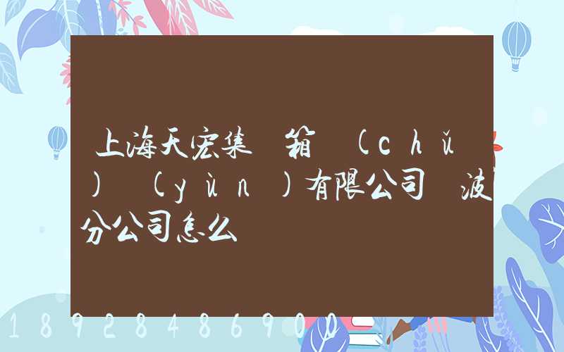 上海天宏集裝箱儲(chǔ)運(yùn)有限公司寧波分公司怎么樣