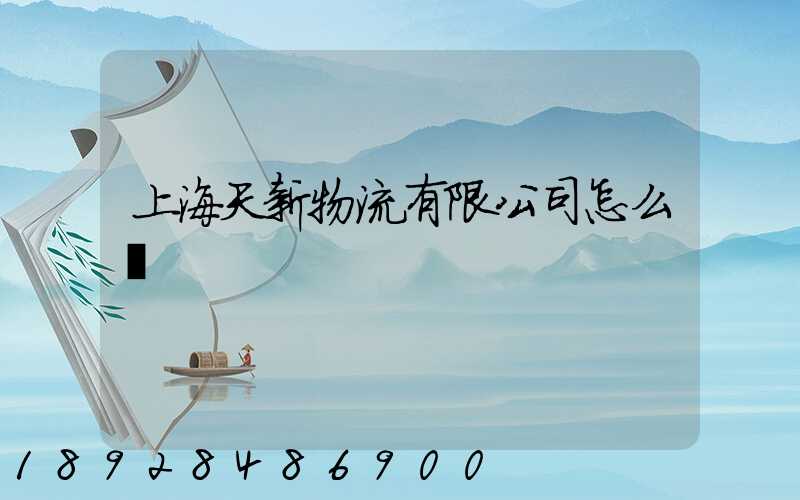 上海天新物流有限公司怎么樣