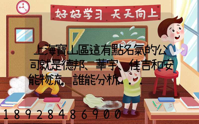 上海寶山區這有點名氣的公司就是德邦、華宇、佳吉和安能物流,誰能分析...