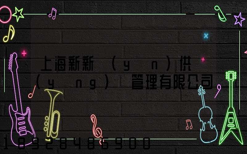上海新新運(yùn)供應(yīng)鏈管理有限公司