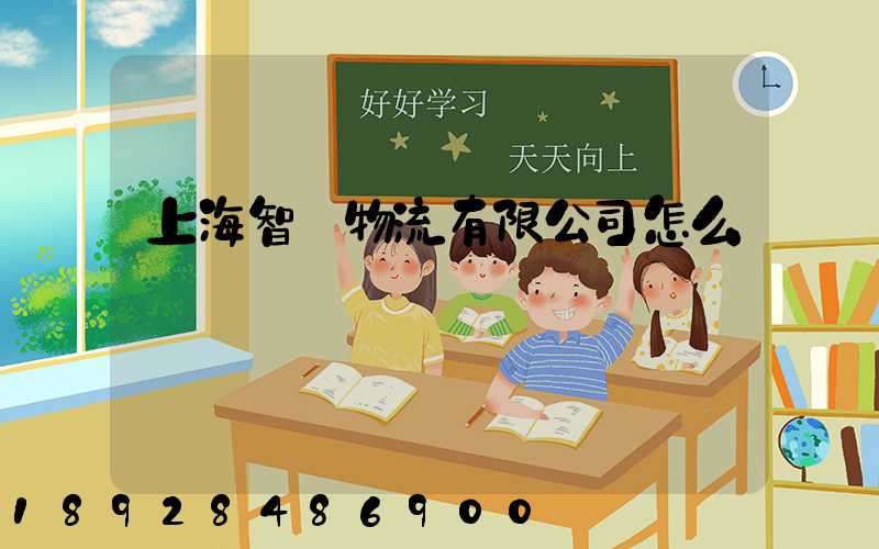 上海智寶物流有限公司怎么樣