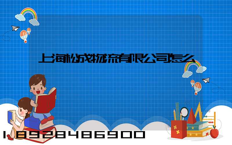 上海松成物流有限公司怎么樣