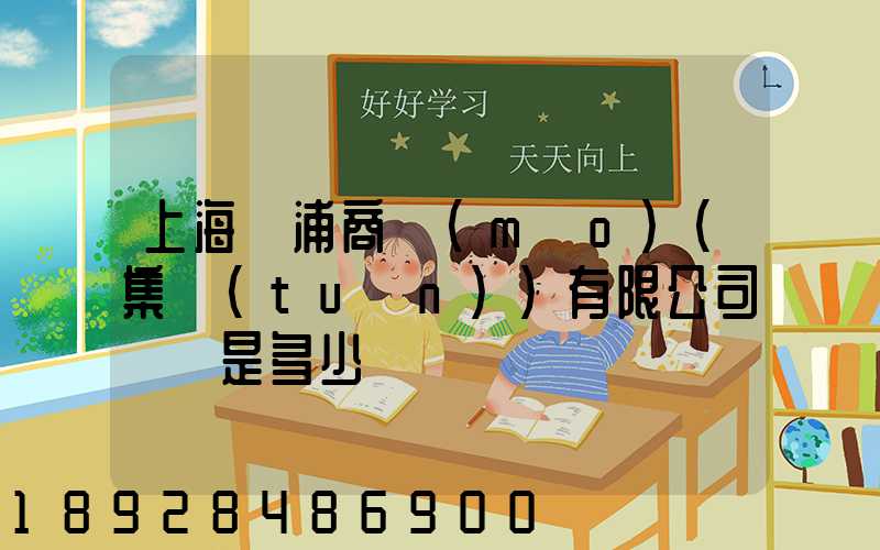 上海楊浦商貿(mào)(集團(tuán))有限公司電話是多少