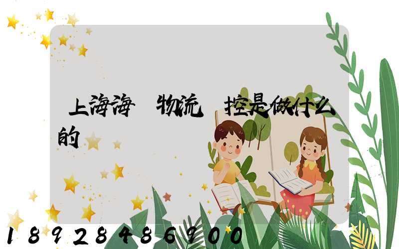 上海海關物流監控是做什么的