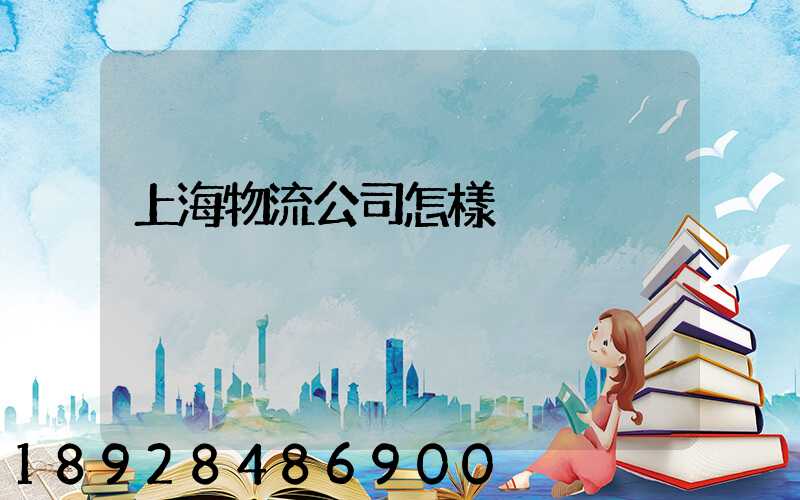 上海物流公司怎樣