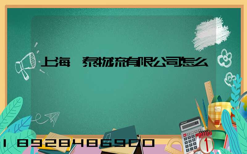 上海穩泰物流有限公司怎么樣