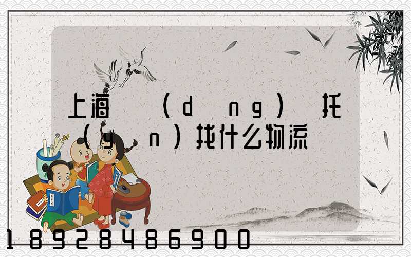 上海電動(dòng)車托運(yùn)找什么物流