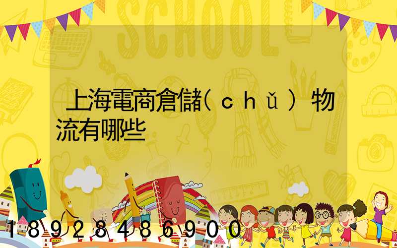上海電商倉儲(chǔ)物流有哪些