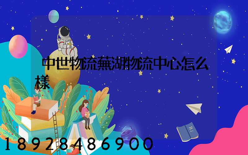 中世物流蕪湖物流中心怎么樣