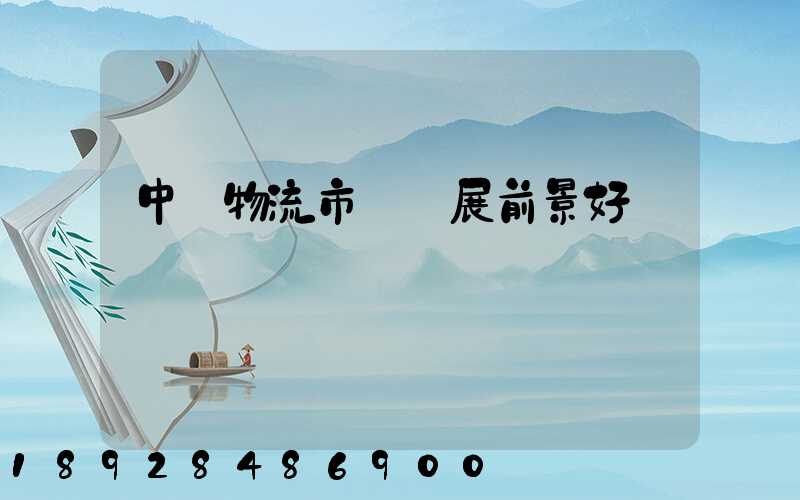 中國物流市場發展前景好嗎