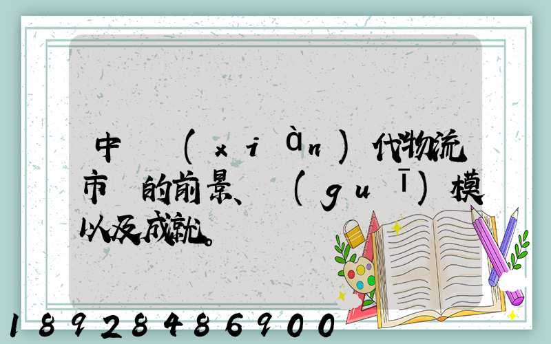 中國現(xiàn)代物流市場的前景、規(guī)模以及成就。