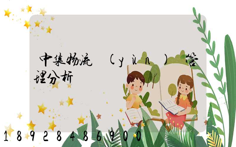 中集物流運(yùn)輸管理分析