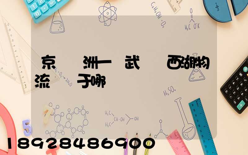 京東亞洲一號武漢東西湖物流園屬于哪個區