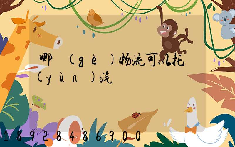 哪個(gè)物流可以托運(yùn)汽車