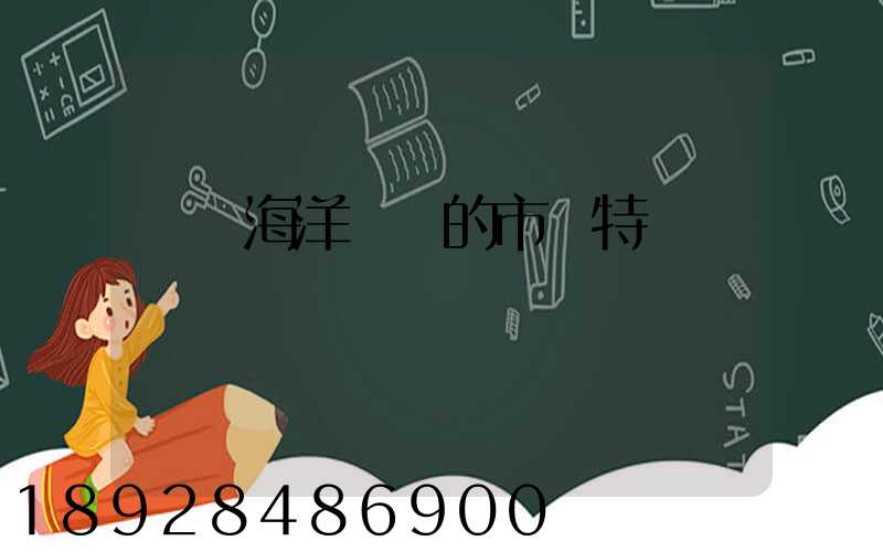 國際海洋運輸的市場特點