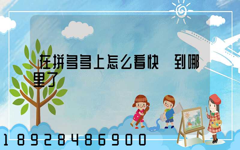 在拼多多上怎么看快遞到哪里了