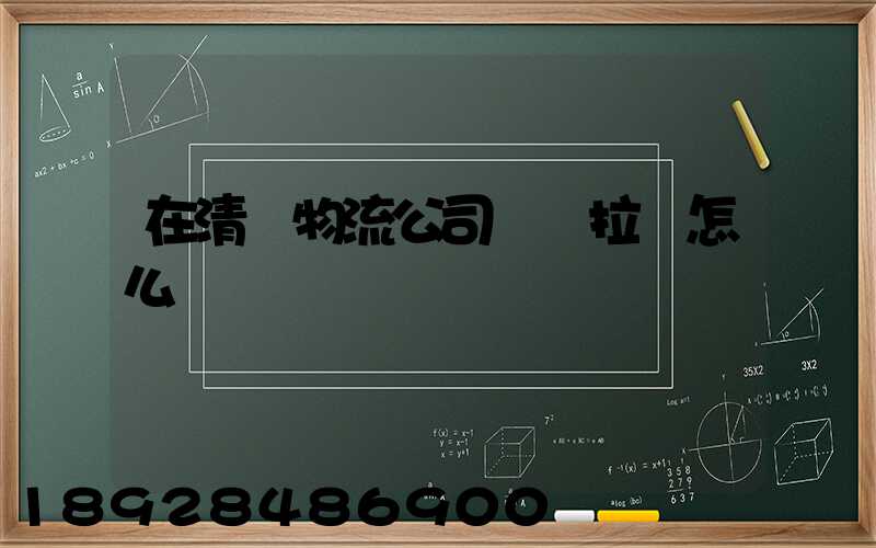 在清遠物流公司買車拉貨怎么樣