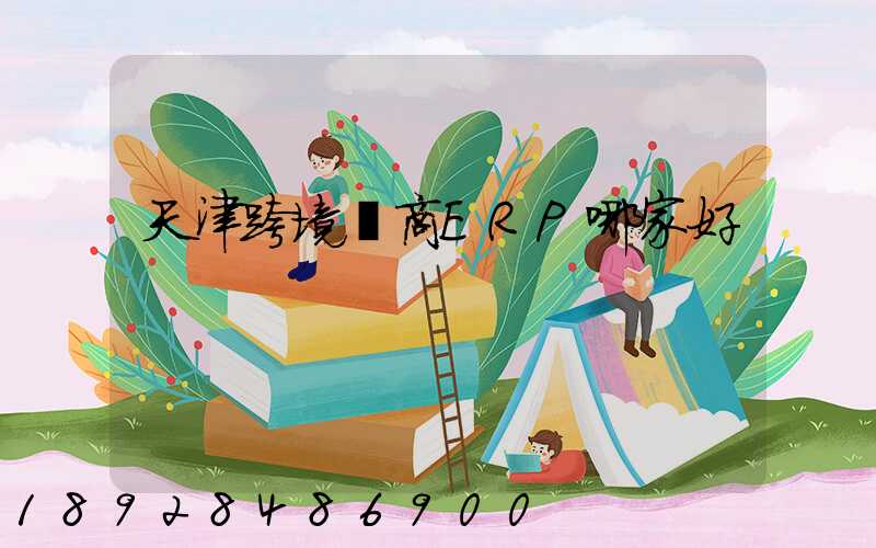 天津跨境電商ERP哪家好