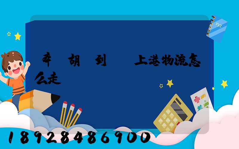 奉賢胡橋到.·上港物流怎么走