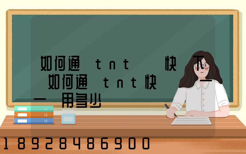 如何通過tnt國際快遞下單如何通過tnt快遞發貨——費用多少