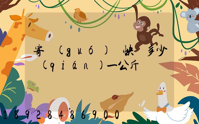 寄國(guó)際快遞多少錢(qián)一公斤