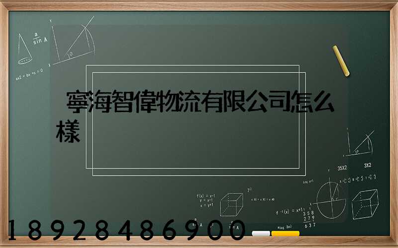 寧海智偉物流有限公司怎么樣