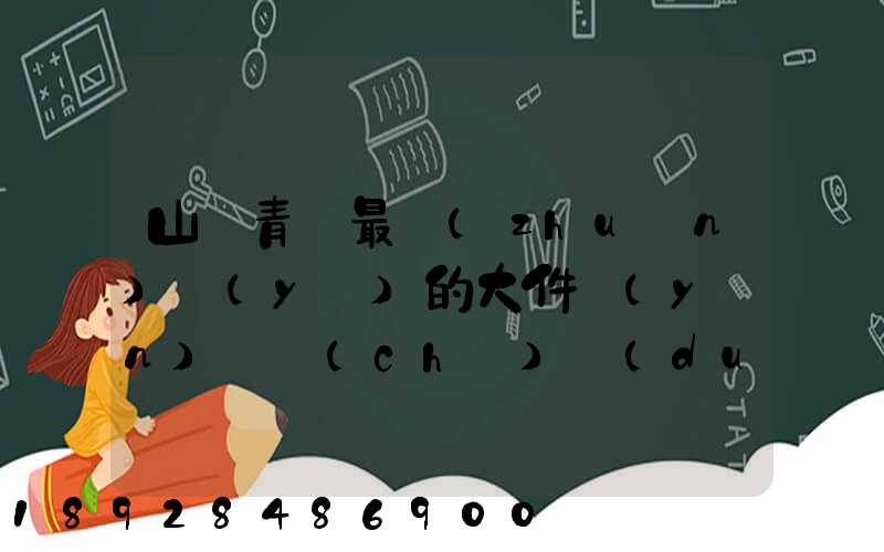 山東青島最專(zhuān)業(yè)的大件運(yùn)輸車(chē)隊(duì)及物流公司