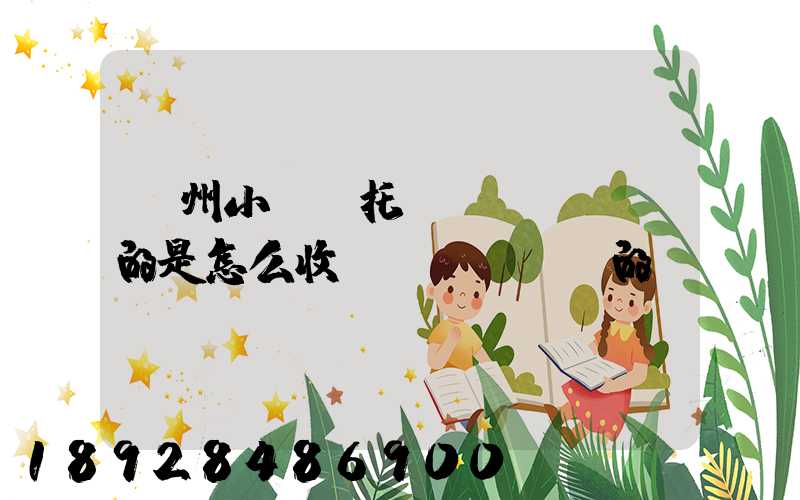 廣州小轎車托運(yùn)的是怎么收費(fèi)的