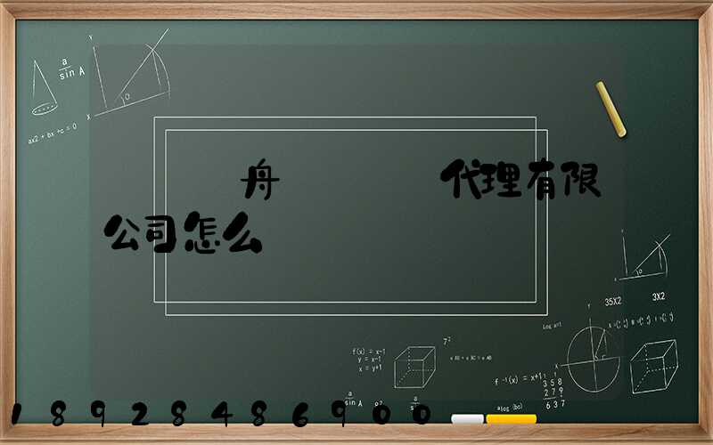 廣東遠舟國際貨運代理有限公司怎么樣