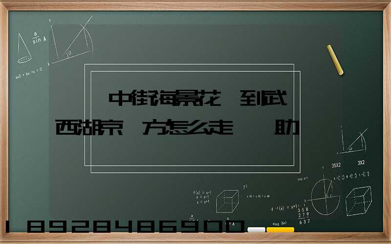 從吳中街海景花園到武漢東西湖京東方怎么走請幫助