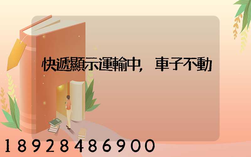 快遞顯示運輸中,車子不動