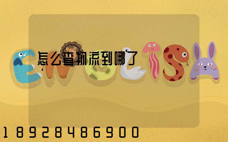 怎么查物流到哪了