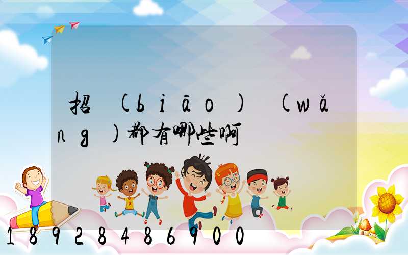 招標(biāo)網(wǎng)都有哪些啊