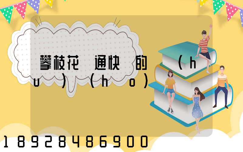 攀枝花圓通快遞的電話(huà)號(hào)碼