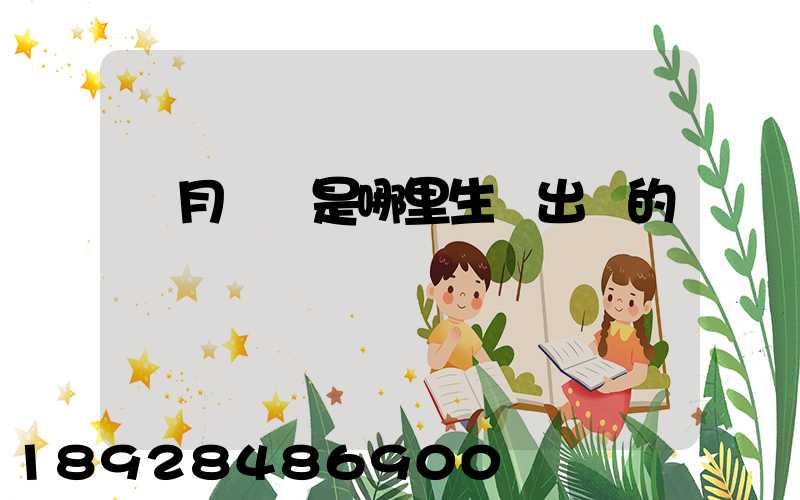 攬月貓糧是哪里生產出來的