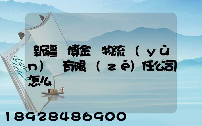 新疆偉博金橋物流運(yùn)輸有限責(zé)任公司怎么樣