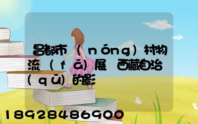 昌都市農(nóng)村物流發(fā)展對西藏自治區(qū)的影響