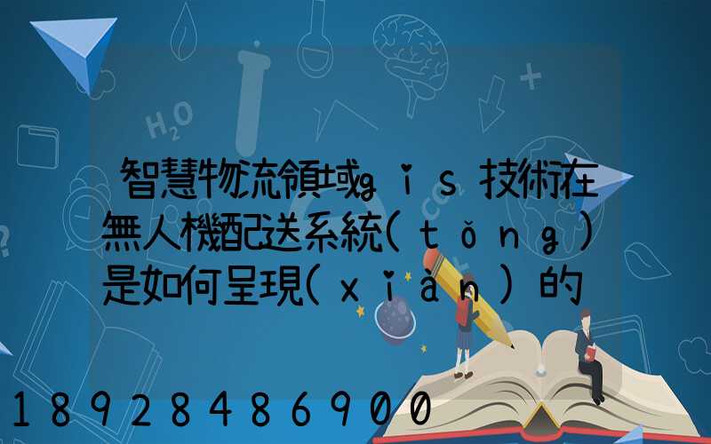 智慧物流領域gis技術在無人機配送系統(tǒng)是如何呈現(xiàn)的