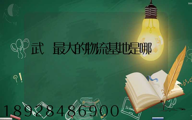 武漢最大的物流基地是哪個