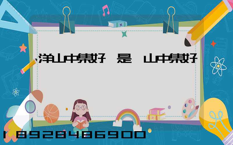 洋山中集好還是寶山中集好