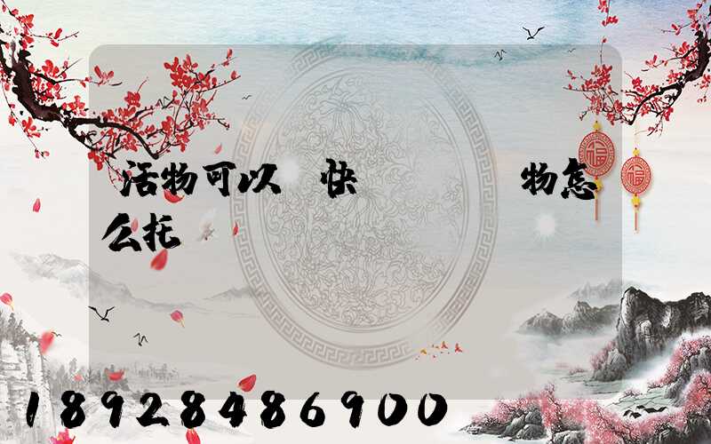 活物可以發快遞嗎,寵物怎么托運