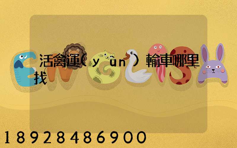活禽運(yùn)輸車哪里找