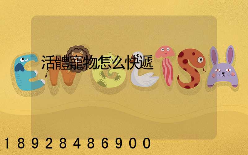 活體寵物怎么快遞