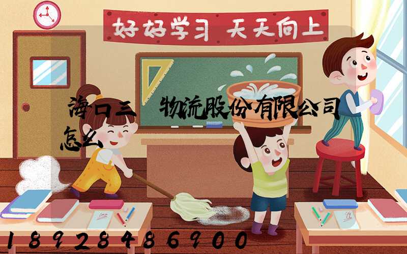 海口三順物流股份有限公司怎么樣
