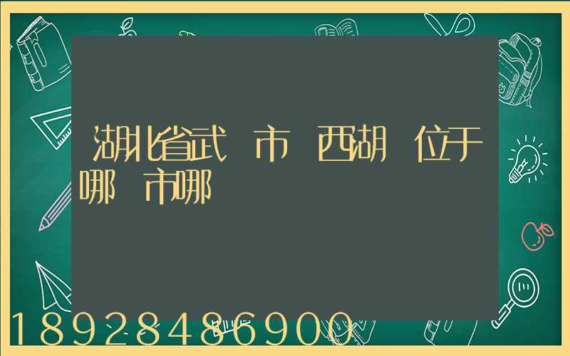 湖北省武漢市東西湖區位于哪個市哪個區